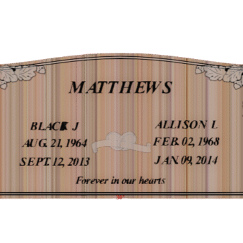 Serptop-004 D (Copy)